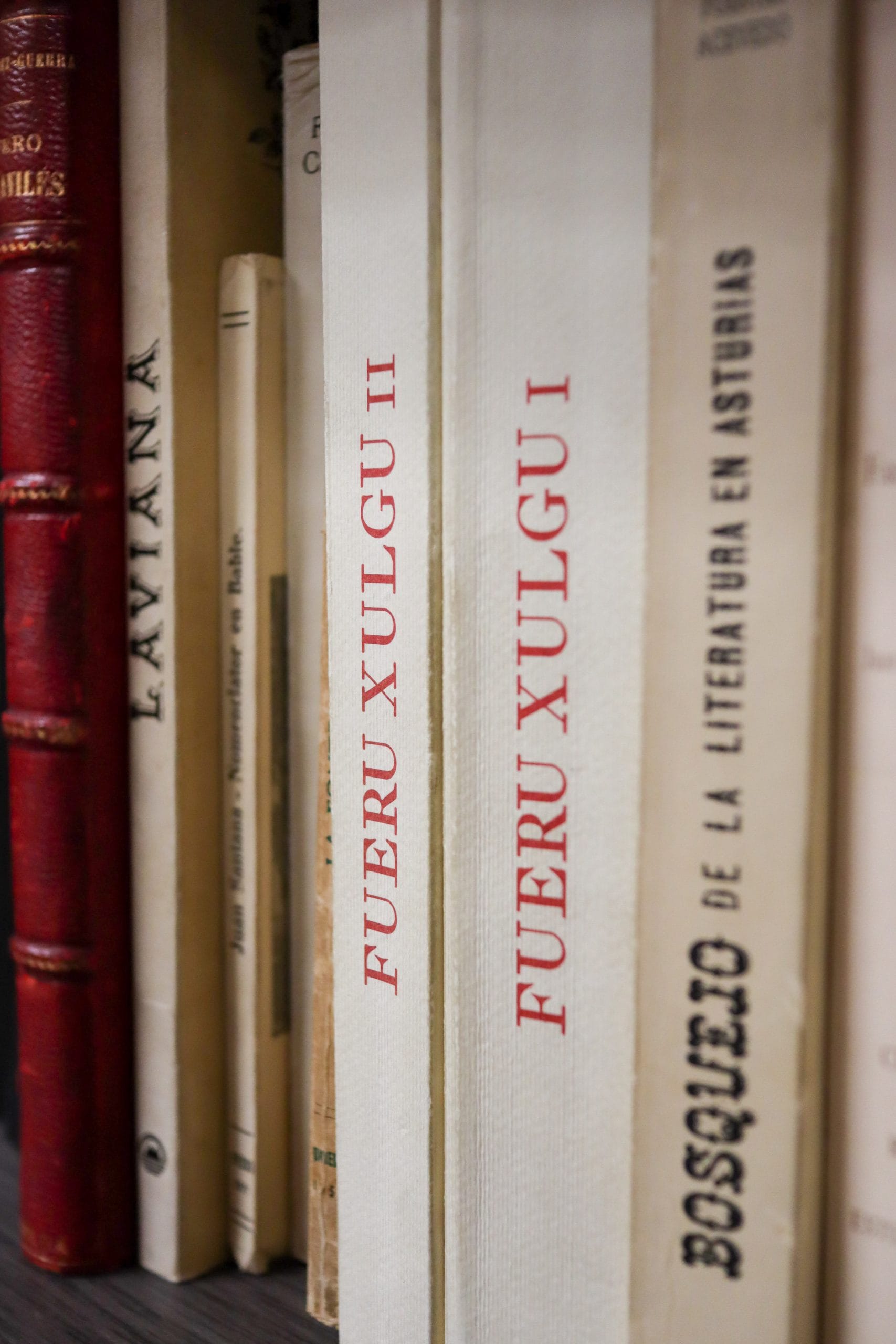 Patrimoniu llingüísticu asturianu Patrimoniu llingüísticu asturianu