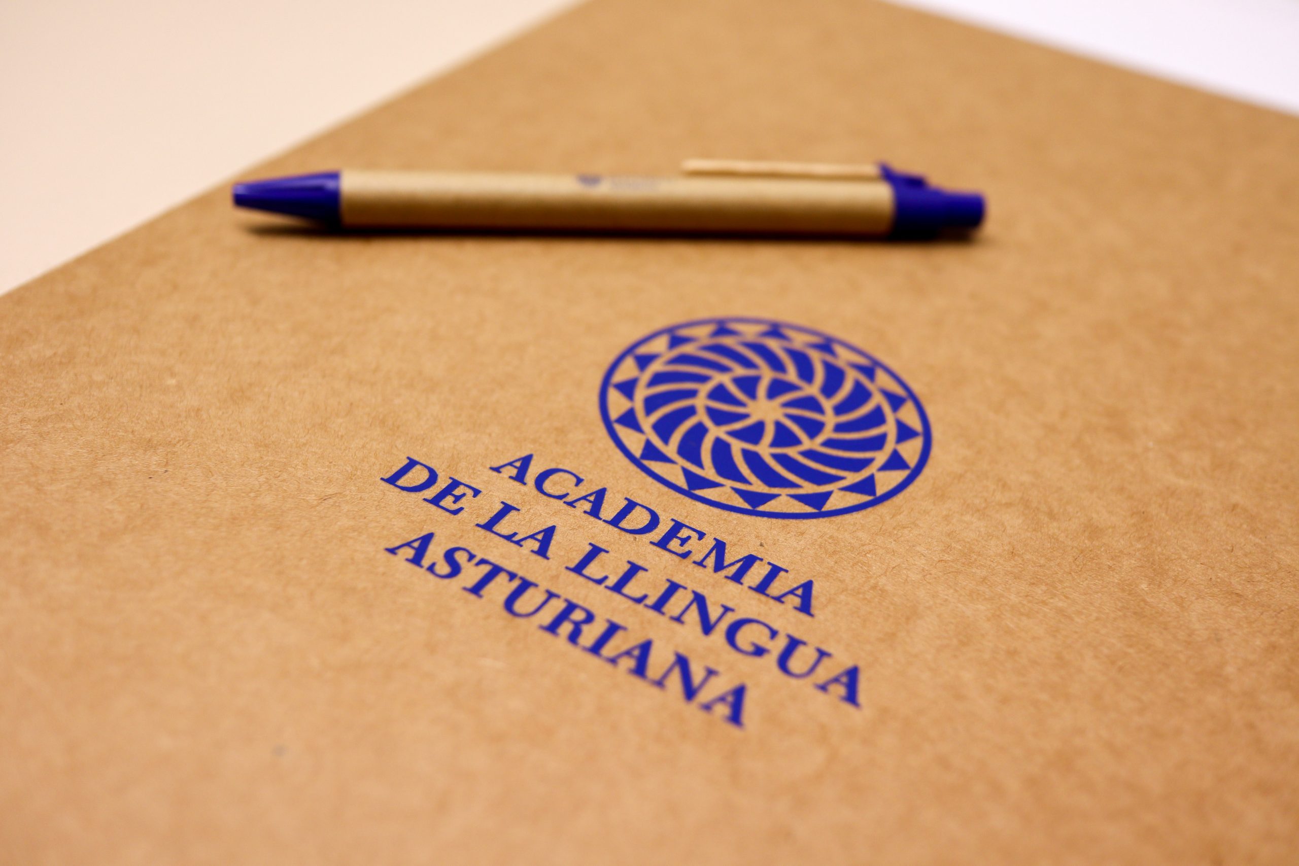 El Presidente de l’Academia de la Llingua Asturiana (ALLA) aconceya con Lydia Espina, Conseyera d’Educación del Gobiernu del Principáu d’Asturies.