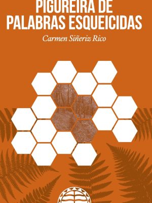 Pigureira de palabras esqueicidas