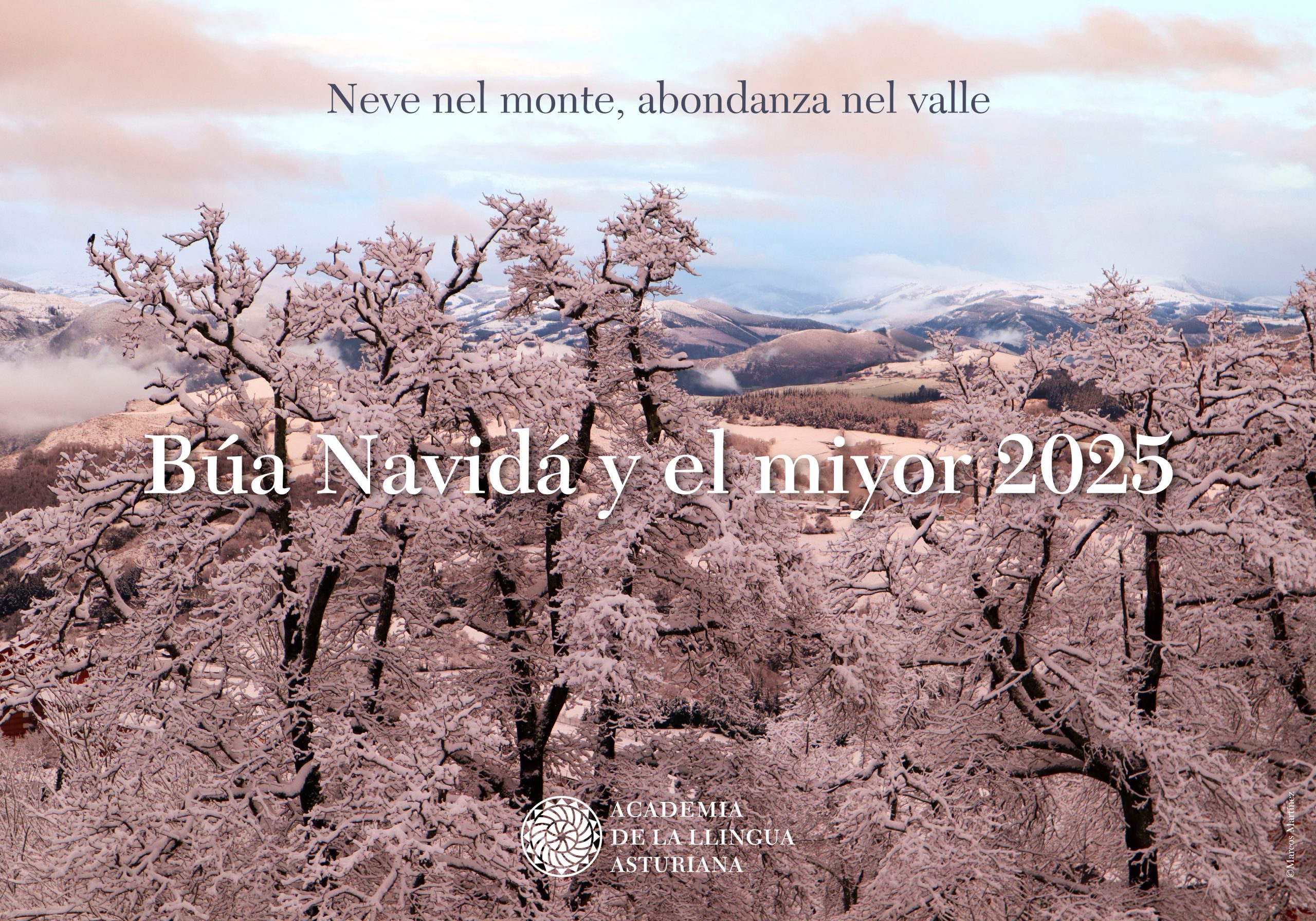 ¡Bon ano novo!